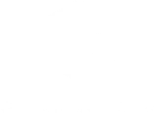 OpinionsBox